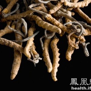 冬虫夏草1种吃法效果最好