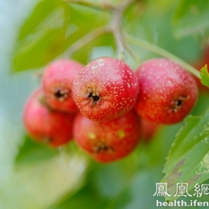 吃对这些食物保你一冬不生病
