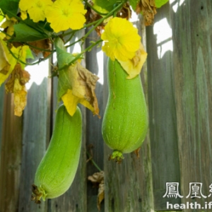 吃丝瓜美白又淡斑  可“赶走”10大疾病