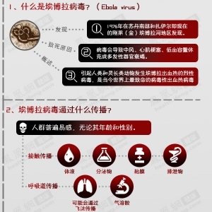 埃博拉很可能月底袭击中国 解读致命病毒埃博拉