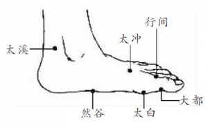 身体自带的6个穴位与六味地黄丸相对(图)